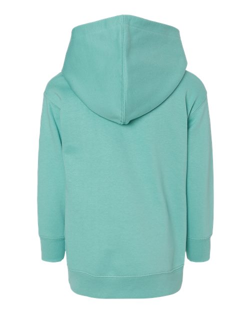Toddler Pullover Fleece Hoodie - Saltwater Back