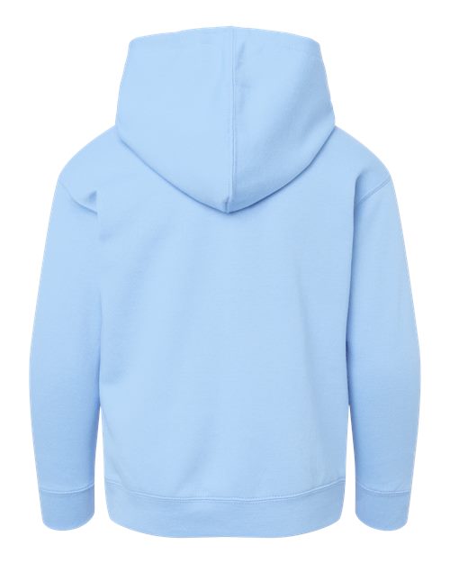 Youth Fleece Hoodie Sweatshirt - Light Blue Back