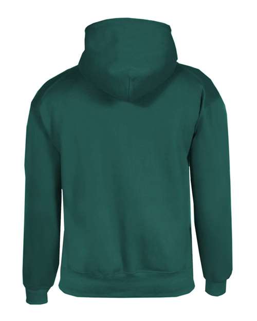 Youth Hooded Sweatshirt - Forest Back