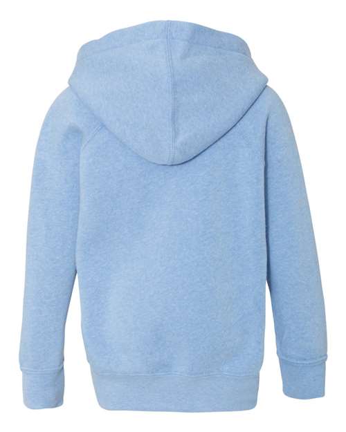 Toddler Special Blend Hooded Raglan Sweatshirt - Pacific Back