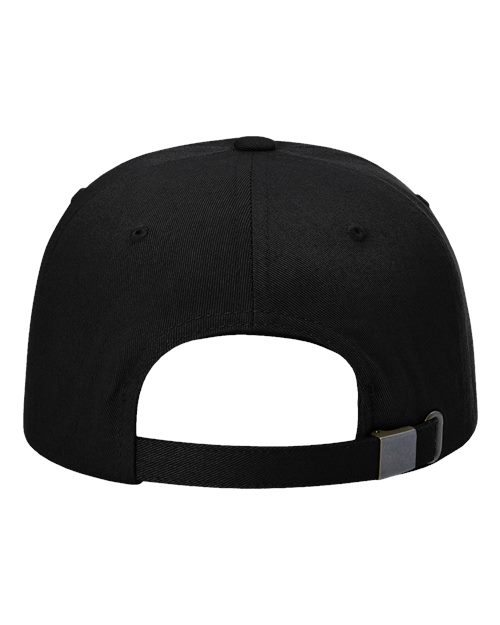 Sustainable Ashland Dad Hat - Black Back